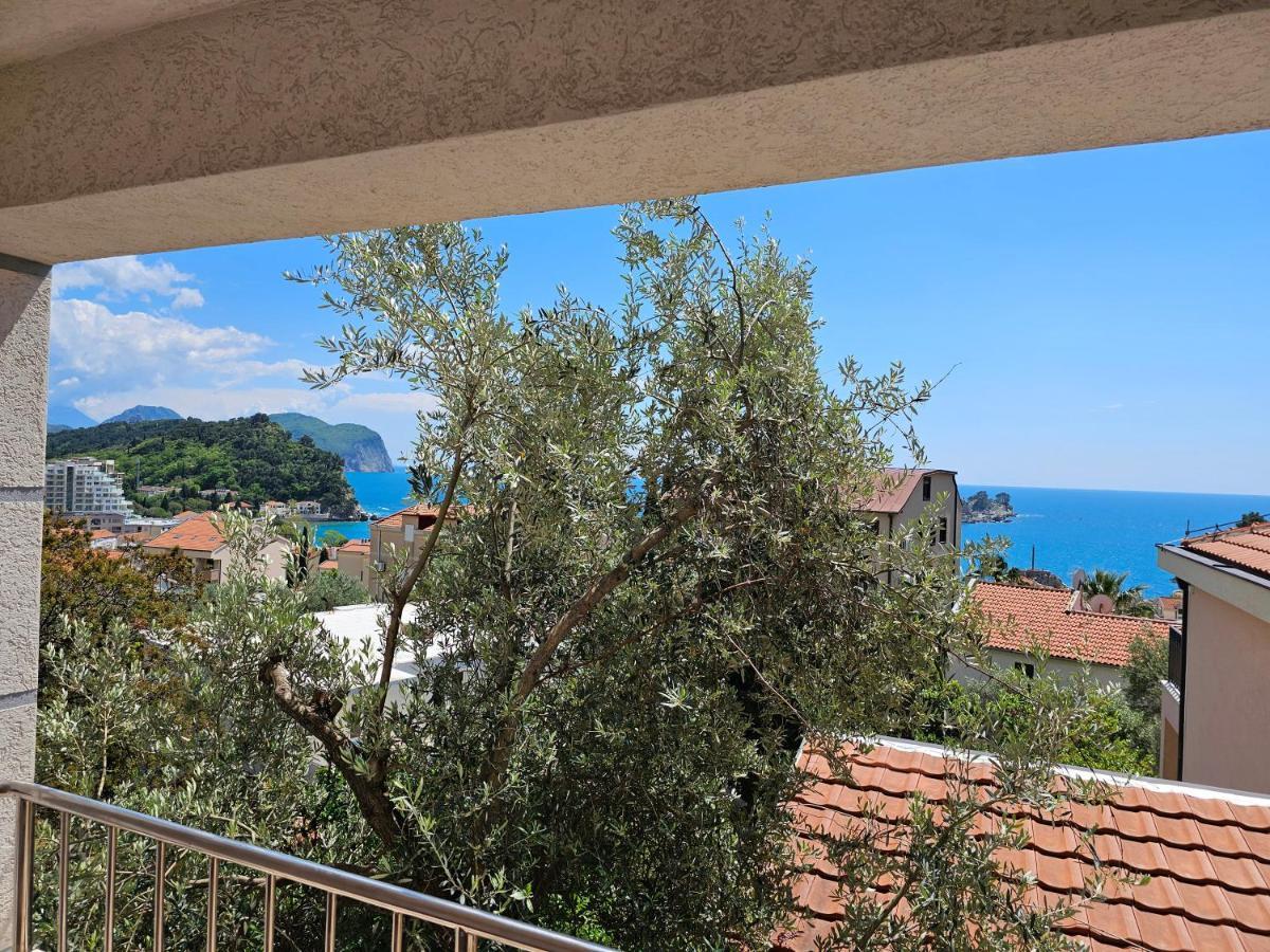 Medin Apartments Bluvista Petrovac 외부 사진