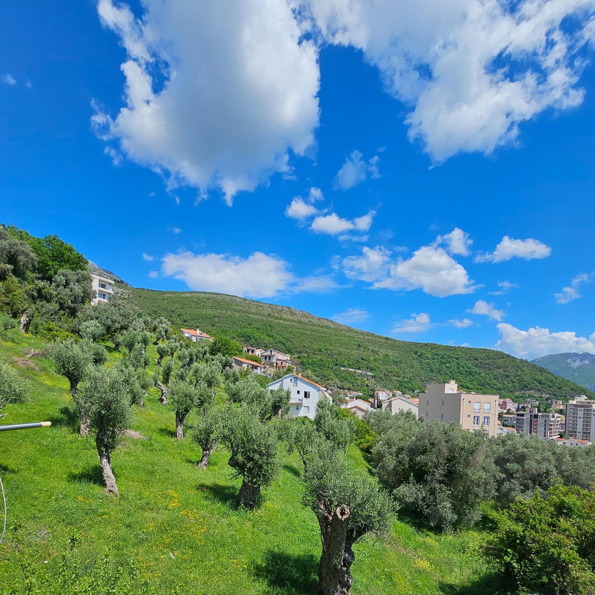 Medin Apartments Bluvista Petrovac 외부 사진