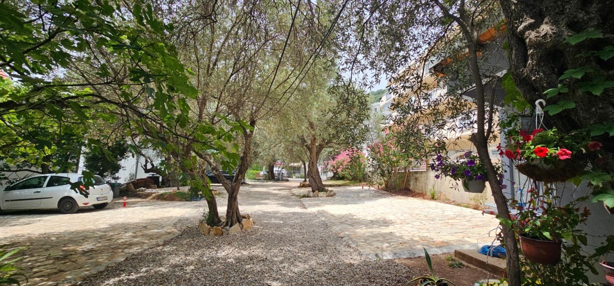 Medin Apartments Bluvista Petrovac 외부 사진